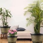 8 Inch Plant Pots, 4 Pack Flower Pot Outdoor with Drainage Holes & Trays, Retro Antique Imitation Decorative Garden Plastic Planters Pots for Plants Indoor Sets for Houseplants