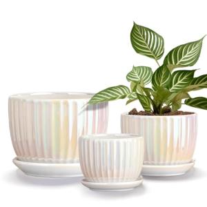 Ton Sin White Plant Pots,Pearl Gold Ceramic Flower Pots 4"+5"+6" Inch Indoor Succulent Pot with Drainage Hole - Decorative Orchid Pots and Herb Pots Set of 3