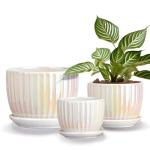 Ton Sin White Plant Pots,Pearl Gold Ceramic Flower Pots 4"+5"+6" Inch Indoor Succulent Pot with Drainage Hole - Decorative Orchid Pots and Herb Pots Set of 3