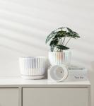 Ton Sin White Plant Pots,Pearl Gold Ceramic Flower Pots 4"+5"+6" Inch Indoor Succulent Pot with Drainage Hole - Decorative Orchid Pots and Herb Pots Set of 3