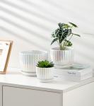 Ton Sin White Plant Pots,Pearl Gold Ceramic Flower Pots 4"+5"+6" Inch Indoor Succulent Pot with Drainage Hole - Decorative Orchid Pots and Herb Pots Set of 3