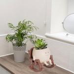 QIAOLY Rocking Chair Face Resin Planter Pot with Drainage Cute Flower Pots for Succulents Plants Live Indoor Outdoor Planters for Houseplants Gift Small (Small)