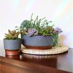 The HC Companies 8 Inch Round Plastic Succulent Capri Bowl 8"x8"x3" in Faux Concrete Color with Copper Band