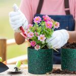 Meowell 8/7/6 inch Plant Pots, 3 Pack Cylindrical Flower Pots for Outdoor Indoor Plants, Decorative Plastic Planters with Drainage Holes and Saucers for Garden House Plants, Black with Green Speckles