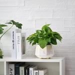 YQSLYSF 6 Inch + 4 Inch Ceramic Planter for Indoor Plants - Plant Pots with Drainage Hole - Modern Minimalist Flower Pot for Succulents and Herbs