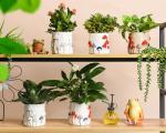 Saysmile 5 Inch Plant Pots Indoor, Unique Ceramic Pots for Plants with Drainage Hole, Cute Flower Pots for Indoor Plants, White Mushroom Planter Modern Decorative for Home Patio Garden