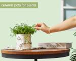 Saysmile 5 Inch Plant Pots Indoor, Unique Ceramic Pots for Plants with Drainage Hole, Cute Flower Pots for Indoor Plants, White Mushroom Planter Modern Decorative for Home Patio Garden