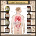Forgotten Home Apothecary : 250 Powerful Remedies at Your Fingertips