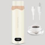 Travel Electric Kettle Portable Mini Kettle, 316 Stainless Steel Vacuum 16.91Oz/500mL, Small Hot Water Boiler with 4 Temperature,Fast Boiling water with Auto Shut-Off and Boil Dry Protection