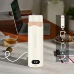 Travel Electric Kettle Portable Mini Kettle, 316 Stainless Steel Vacuum 16.91Oz/500mL, Small Hot Water Boiler with 4 Temperature,Fast Boiling water with Auto Shut-Off and Boil Dry Protection