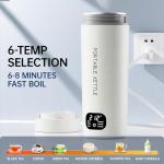 HOWDIANQY Dual Voltage Portable Electric Kettle Travel Hot Water for Tea, Coffee, 6 Temperature Controls and LCD Display, 316 Stainless Steel and 450ml, Auto Shut Off & Boil Dry Protection