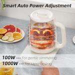 Health Pot, 1.5L Double-Layer Glass Electric Kettle with Stew Pot, 9-in-1 Multi-Function Tea Maker for Soup, Porridge, Herbal Tea, Stainless Steel Base, Glass Touch Panel, Programmable