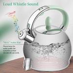 RETTBERG Tea Kettles Stovetop, 2.64 Quart Induction Whistling Tea Kettles Food Grade Stainless Steel Teapots with Cool Touch Handle Mint Green
