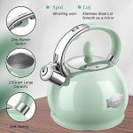 RETTBERG Tea Kettles Stovetop, 2.64 Quart Induction Whistling Tea Kettles Food Grade Stainless Steel Teapots with Cool Touch Handle Mint Green