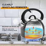 HRHongRui Copper Tea Kettle Stainless Steel Teapot Whistling Kettle Unique Button Control Kettle Outlet Loud Whistle Food Grade Teapot 3.2 Quart / 3 Liter Black