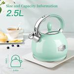 RETTBERG Tea Kettles Stovetop, 2.64 Quart Induction Whistling Tea Kettles Food Grade Stainless Steel Teapots with Cool Touch Handle Mint Green