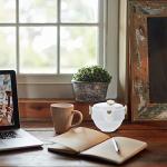 1 Set Tea Set Ceramic Tea Kettle Adorable Tea Kettle Cat Teapot Multi-function Tea Kettle Home Accessory Tea Accessory Household Tea Kettle Office Accessory