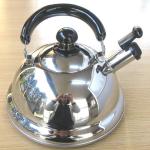 JapanBargain, Quickone Takei Energy-Saving Fuefuki Whistle Kettle, Induction Cookware, Made in Japan, 2.5 Liter
