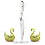 IGNITED CUTLERY 5 inch Paring Knife, German 1.4116 Stainless Steel Fruit Vegetable Peeling Knives, Ivory White Handle, Razor Sharp Small Kitchen Knife with Gift Box