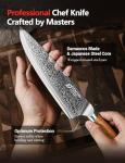 Damascus Chef Knife in Japanese Steel, 67-Layers Damascus Kitchen Knife with Wooden Gift Box and Original Olive Wood Handle, Cooking Knives for Home Kitchen Gift Idea