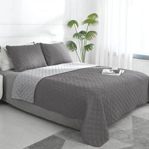 Reversible Full/Queen Quilt Set with Pillow Shams