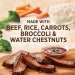 Healthy Choice Beef Teriyaki Microwave Meal, 9.5 OZ