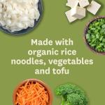 Amy's Vegan Pad Thai Frozen Meal, 9.5 Oz