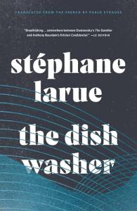 The Dishwasher: Biblioasis Translation Series