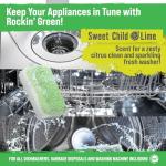 Rockin' Green Deep Cleaning Tablets, 24 Pack