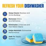 Lemon-Scented Dishwasher Cleaner Tablets - 24 Count