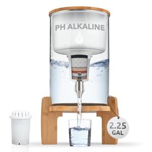 pH Recharge Glass Alkaline Water Filter Dispenser