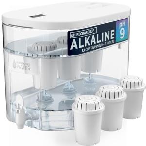 Alkaline Water Filter Dispenser - 52 Cup Capacity