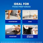 Lysol Pro Antibacterial Kitchen Spray Cleaner, 22oz