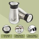 Modern Stainless Steel Salt and Pepper Shakers Set