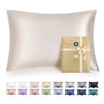 Bedsure Satin Pillowcase for Hair - Beige Satin Pillow Cases Standard Size with Zipper 2 Pack, Similar to Silk Pillow Cases for Skin, Silky & Soft, Gifts for Women Men, 20x26 Inches