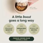 Instinct Raw Boost Mixers Freeze Dried Dog Food Toppers For Dry Food, Grain Free Dog Food Toppers with Chicken For Dogs - Gut Health, 12.5 oz