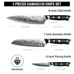 SHAN ZU Damascus Knife Set, Japanese Super Steel 3 PCS Damascus High Carbon Professional Ultra-Sharp Kitchen Chef Knife Set with G10 Handle Gift Box
