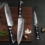 SHAN ZU Damascus Knife Set, Japanese Super Steel 3 PCS Damascus High Carbon Professional Ultra-Sharp Kitchen Chef Knife Set with G10 Handle Gift Box