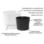 Root & Vessel Majestic Mid-Century Modern Low Profile Cylinder Pot, Matte Black, 6.5"