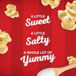 Orville Redenbacher's Kettle Corn Microwave Popcorn 6-Pack