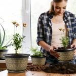 8 Inch Plant Pots, 4 Pack Flower Pot Outdoor with Drainage Holes & Trays, Retro Antique Imitation Decorative Garden Plastic Planters Pots for Plants Indoor Sets for Houseplants