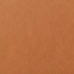 Lifestyle Solutions Lexington Chair, Carmel PU