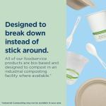 World Centric Compostable 11-1/2-Ounce Bagasse Bowl, 20-Piece