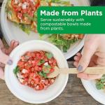 World Centric Compostable 11-1/2-Ounce Bagasse Bowl, 20-Piece