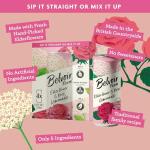 Belvoir Farm Elderflower & Rose Sparkling Lemonade | Delicious On It's Own Or As A Mixer | Product of UK | 4 Cans, 8.4 fl oz (250mL)