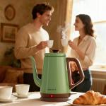 DmofwHi Gooseneck Electric Kettle(1.0L), 100% Stainless Steel BPA Free Classic Pour Over Coffee Kettle | Tea Kettle - Green