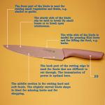 Colorful 6-Piece Stainless Steel Knife Set