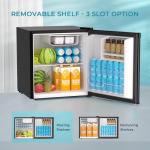 Mini Fridge with Freezer for Bedroom and Office