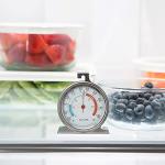 Taylor Large Dial Kitchen Refrigerator Thermometer, Silver