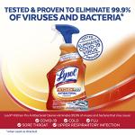 Lysol Pro Antibacterial Kitchen Spray Cleaner, 22oz